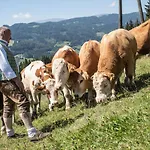 Hotel-gasthof Deixelberger Отель