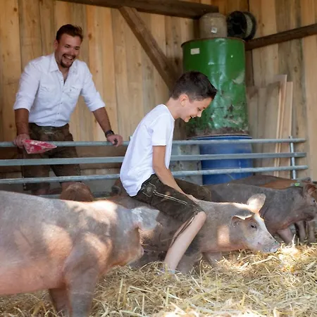 Hotel-gasthof Deixelberger 3* Вольфсберг