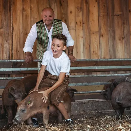 Hotel-gasthof Deixelberger Отель Вольфсберг