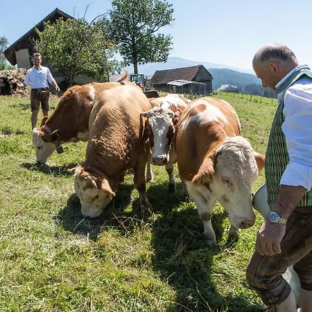 Hotel-gasthof Deixelberger Отель 3*