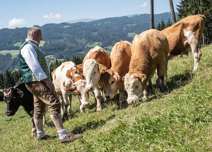 Hotel-gasthof Deixelberger Hotel