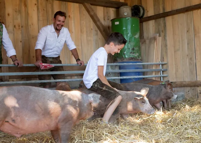 Hotel-gasthof Deixelberger 3* Wolfsberg