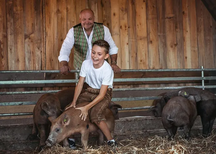Hotel-gasthof Deixelberger Hotel Wolfsberg