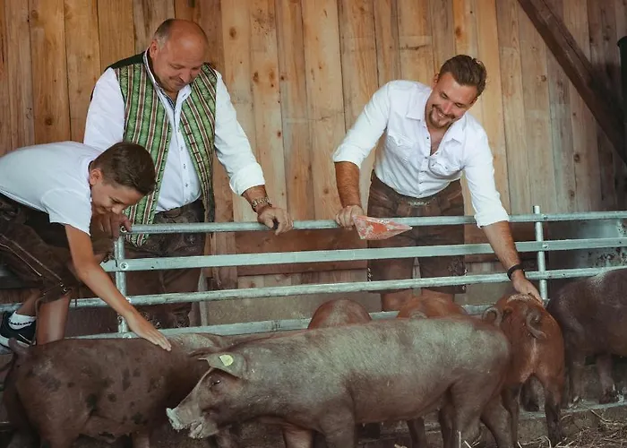 Hotel Hotel-gasthof Deixelberger