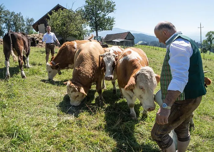 Hotel-gasthof Deixelberger Hotel 3*